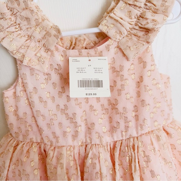 Janie and Jack center stage blush gold tulle dress NWT 2T - Picture 4 of 4